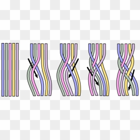 Five Strand Braid Diagram, HD Png Download - braid png