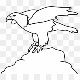 Bald Eagle Outline On Rock - Black And White Eagle Clipart, HD Png Download - eagle silhouette png