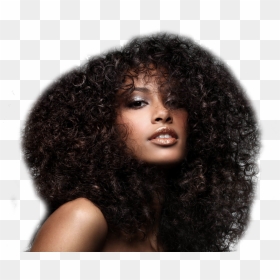 Indian Curly Hair - Curly Hair Model Transparent Png, Png Download - curly hair png