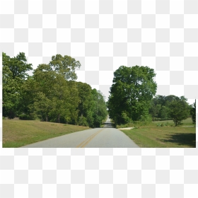 Transparent Dirt Road Clipart - Transparent Background Forest Png, Png Download - dirt road png