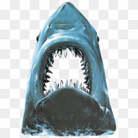 Fish,great White Shark,lamnidae - Jaws Png, Transparent Png - great white shark png