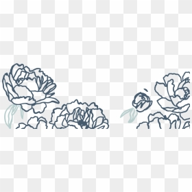 Page Footer Petals - Sketch, HD Png Download - petals png