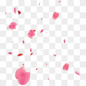 Flower Petals Png File - Cherry Blossom Petals Png, Transparent Png - petals png