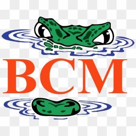 University Of Florida Clipart - Dpmi India Com Logo, HD Png Download - uf logo png