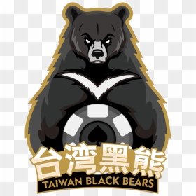 American Black Bear , Png Download - Illustration, Transparent Png - black bear png