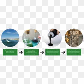 Livinginkprocess, HD Png Download - ink png