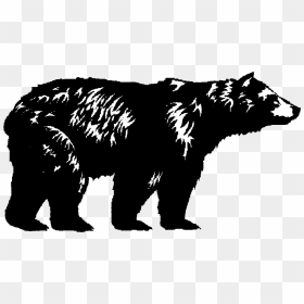 Clipart Resolution 1010*633 - Black Outline Bear Silhouette, HD Png Download - black bear png
