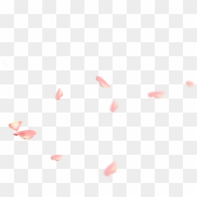 Fluid, HD Png Download - petals png