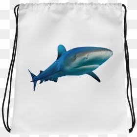 "  Class="lazyload Lazyload Mirage Cloudzoom Featured - Music Drawstring Bags, HD Png Download - great white shark png