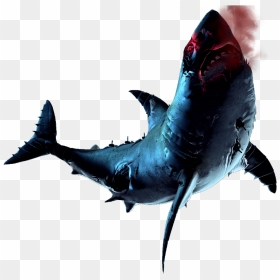 Depth Game Png, Transparent Png - great white shark png