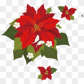 Christmas Poinsettia Png Transparent - Poinsettia Png, Png Download - poinsettia png