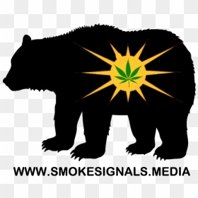 Bears, HD Png Download - black bear png