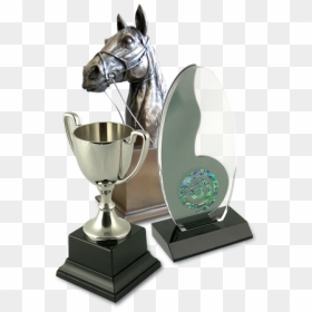 Enquire About Our Large Range Of Trophies - Trophy, HD Png Download - lombardi trophy png