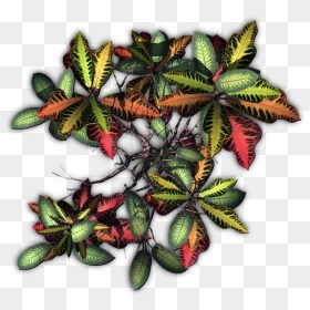 Transparent Tropical Plants Png - Dundjinni Jungle Plants, Png Download - tropical plants png