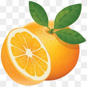 Orange Slice Png High-quality Image - Vector Illustrator Orange Png, Transparent Png - orange slice png