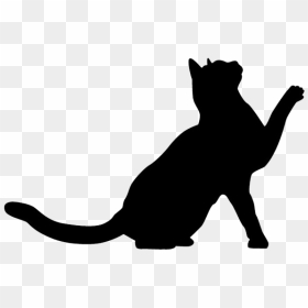 Cat Png Download - Cat Silhouette Png Free, Transparent Png - cat silhouette png
