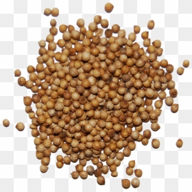 Download Seed Png - Coriander Seeds Png, Transparent Png - seed png