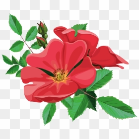 Jpg Library Library Png Flowers And - Transparent Animated Flower Png, Png Download - lombardi trophy png