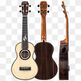 Master Series Ukulele Spruce/rosewood - Most Beautiful Ukulele Designs, HD Png Download - ukulele png
