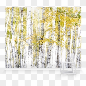 Canoe Birch, HD Png Download - paper tear effect png