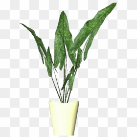 3d Flowers - Alocasia Zebrina - Acca Software - Tropical Flower Vase Tropical Vase Png, Transparent Png - tropical plants png