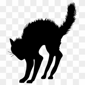 Halloween Black Cat Transparent Image - Halloween Black Cat Silhouette, HD Png Download - cat silhouette png