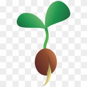 Thumb Image - Clipart Seeds Cartoon, HD Png Download - seed png