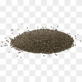 Chia Seeds Png Pic - Chia Seed, Transparent Png - seed png
