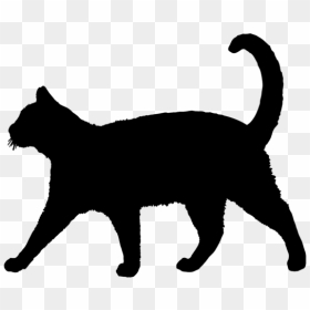 Cat Silhouette Clipart Graphic Freeuse Library Cat - Cat Silhouette, HD Png Download - cat silhouette png
