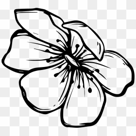Line Drawing Png - Black And White Flower Png, Transparent Png - flower drawing png