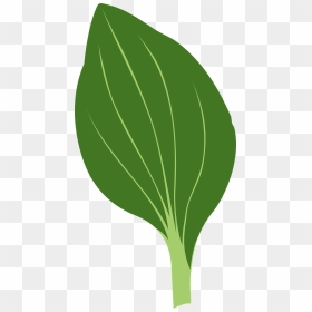 How To Draw A - Green Leaf Drawing, HD Png Download - leafs png
