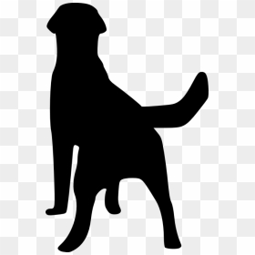 Cat And Dog Sitting Silouette Clipart Png Transparent - Back Of Labrador Silhouette, Png Download - cat silhouette png