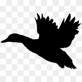 Landing Silhouette At Getdrawings - Flying Duck Silhouette Png, Transparent Png - cat silhouette png