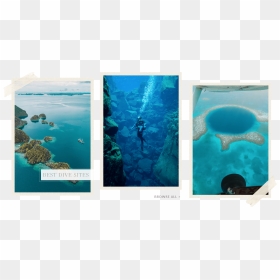 Read The Post - Underwater, HD Png Download - underwater png