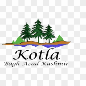 Logo Picture Of Kotla Village Bagh Ajk - Kashmir Trees Clip Art, HD Png Download - village png