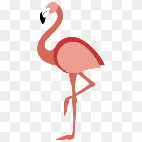 Flamingo Clipart Water Clipart - Ibis, HD Png Download - water clipart png