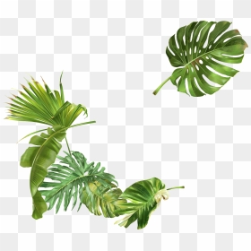 Clip Art, HD Png Download - leafs png