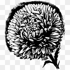 Best Drawing Of Nature, HD Png Download - flower drawing png