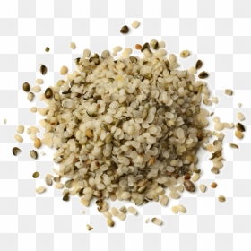 Hemp Seeds Png Pic - Hemp Seeds With Transparent Background, Png Download - seed png