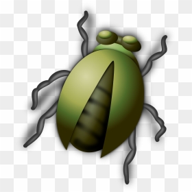 Bug Buddy Vector Clip Arts - Bug Clipart, HD Png Download - bug png