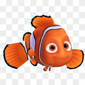 Nemo Fd Render - Nemo Png, Transparent Png - finding dory png
