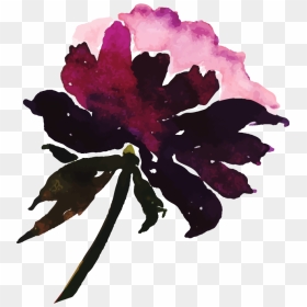 Watercolor Paint, HD Png Download - spring flower png