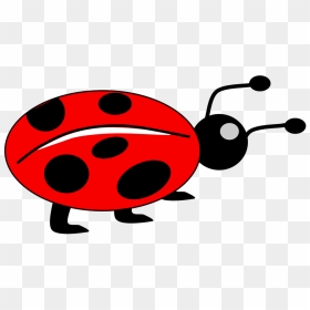 Red Ladybug Png Free Download - Bug Picture For Kids, Transparent Png - bug png
