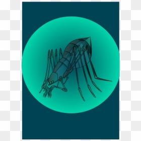 Illustration, HD Png Download - bug png