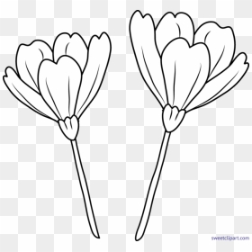 Transparent Flower Line Png - Flower Line Art Png, Png Download - flower drawing png