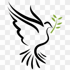 Bible Doves As Symbols Holy Spirit Columbidae - Holy Spirit Dove Catholic, HD Png Download - spirit png