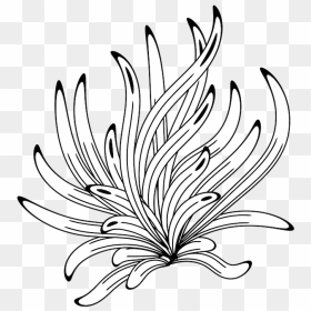 Line Art, HD Png Download - flower drawing png