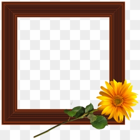Picture Frame, HD Png Download - marco png
