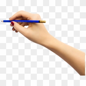 Hand-drawing - Hand Drawing Transparent Background, HD Png Download - drawing png
