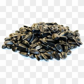 Sunflower Seeds Png Image - Sunflower Seed, Transparent Png - seed png